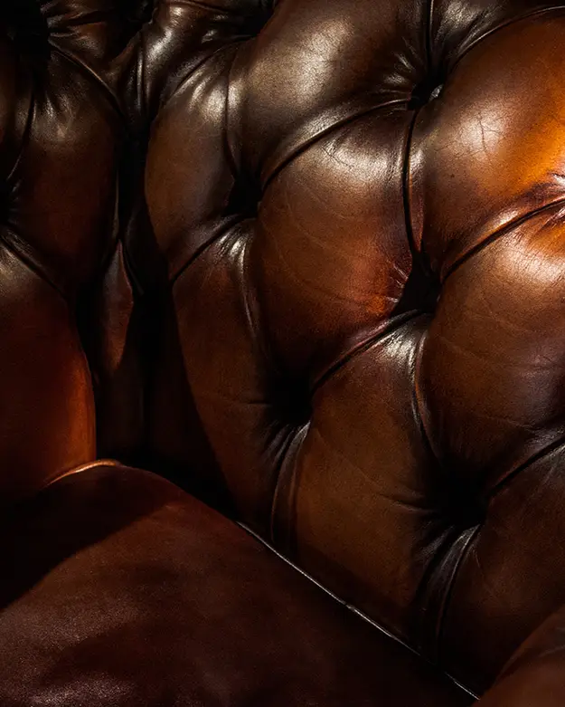 Roman appui thérapeutique : quand un roman devient un appui thérapeutique