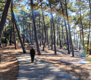 Se reconstruire après une enfance difficile : retrouver de la stabilité et du pouvoir d'agir